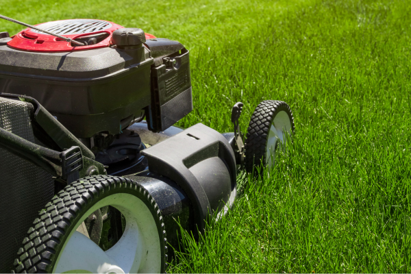 Lawn mower cutting grass