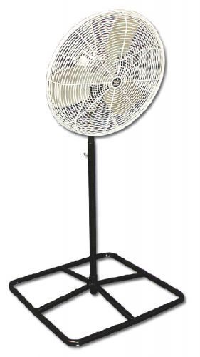 Pedestal Fan